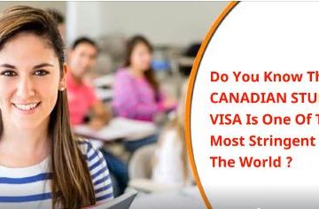 01 29 05 2019 360x236